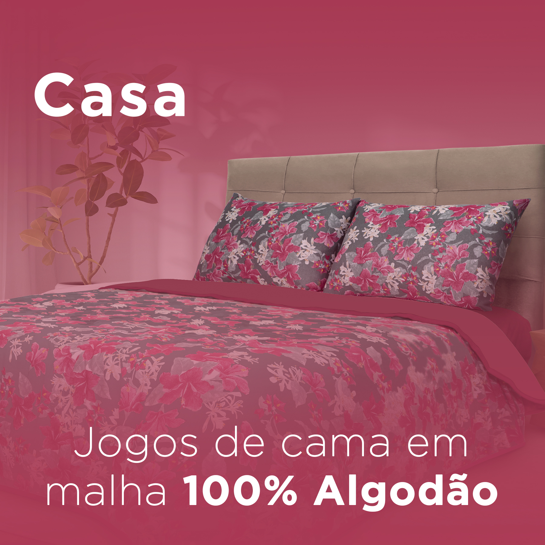 Casa (0)