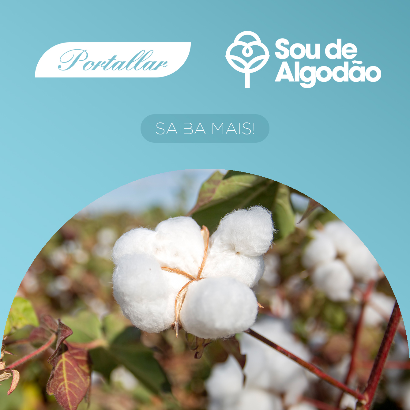 Banner Site - Sou De Algodão 2025 - Mobile.jpg